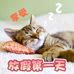 undefined william威廉亚洲(中国)有限公司