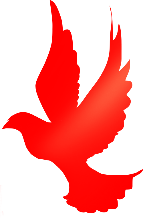 william威廉亚洲(中国)有限公司