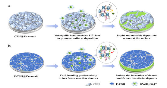 william威廉亚洲(中国)有限公司