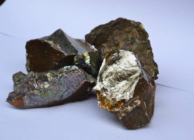 william威廉亚洲(中国)有限公司