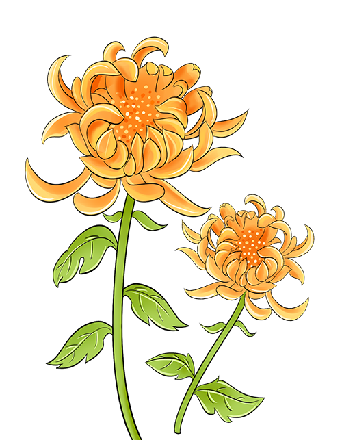 william威廉亚洲(中国)有限公司