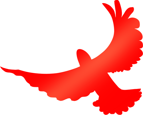 william威廉亚洲(中国)有限公司