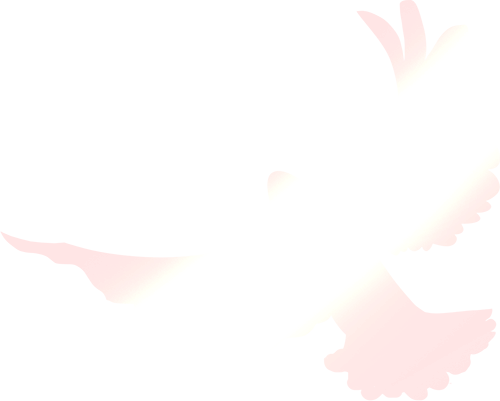 william威廉亚洲(中国)有限公司