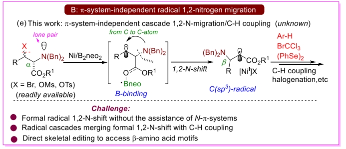 william威廉亚洲(中国)有限公司