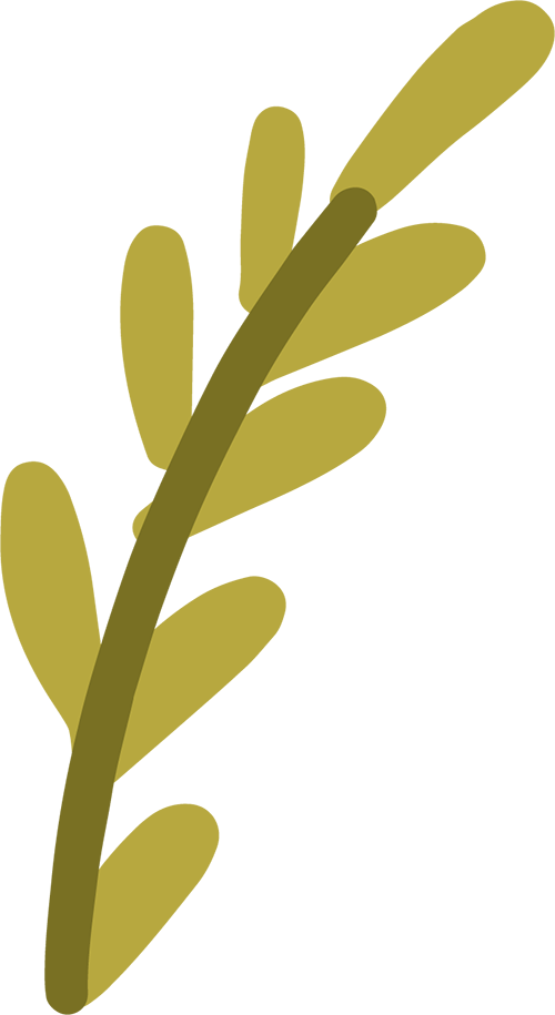 william威廉亚洲(中国)有限公司