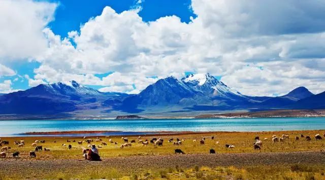 undefined william威廉亚洲(中国)有限公司