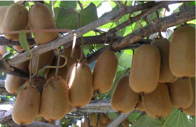 william威廉亚洲(中国)有限公司