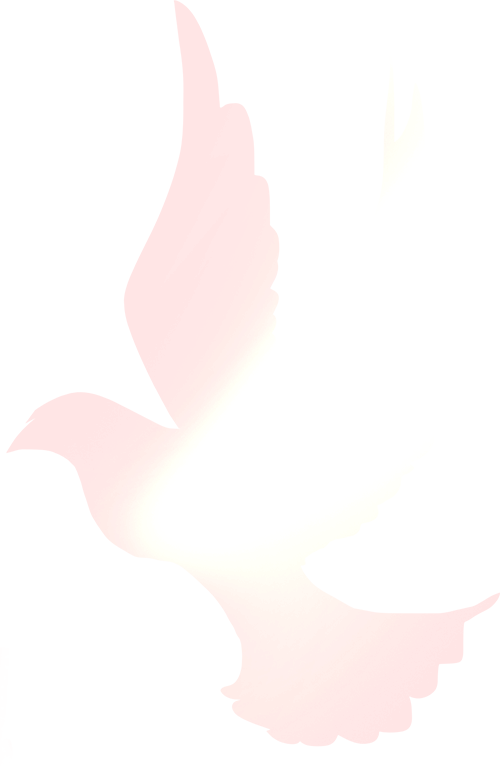 william威廉亚洲(中国)有限公司